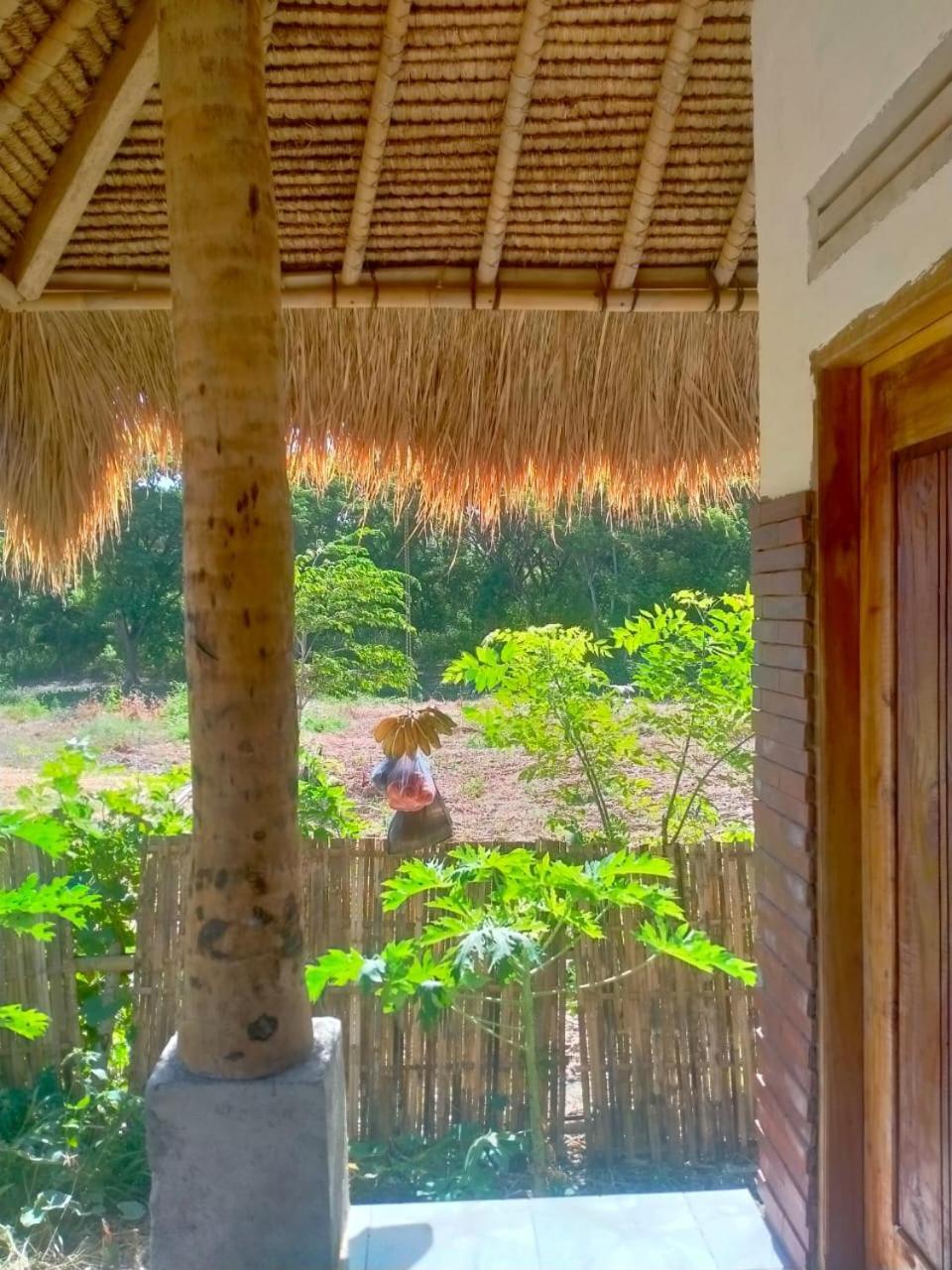 Melody Surf - Ekas Lombok Hotel Exterior photo