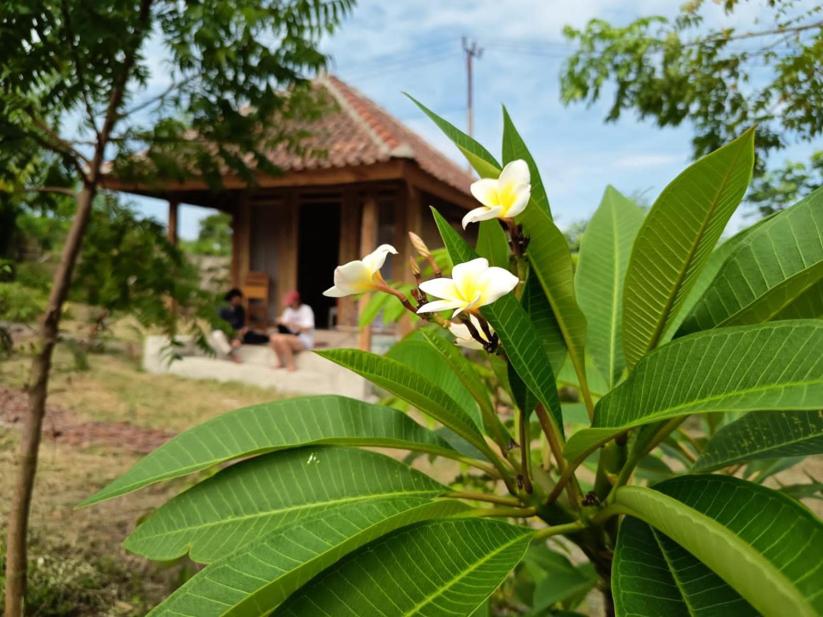 Melody Surf - Ekas Lombok Hotel Exterior photo